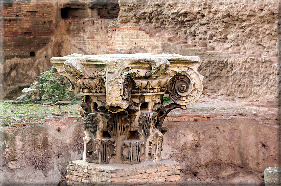 foto Terme di Caracalla